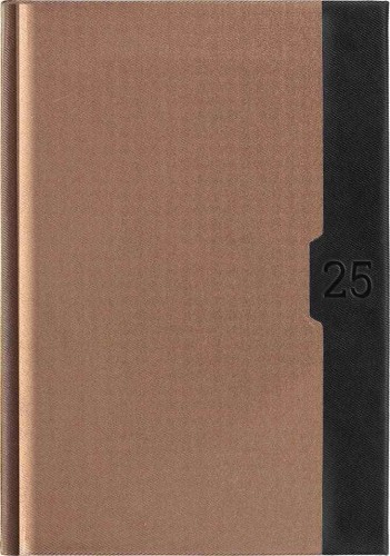 KALENDARZ KSIĄŻKOWY A5 TN2S BEST CLASSIC C3 OKŁADKA 22 TELEGRAPH