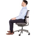 8042301_ISpire_LumbarCushion_Black_ErgoSitting_1.jpg