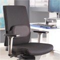8042301_ISpire_LumbarCushion_Black_LS_INSET_1.jpg