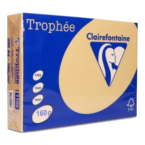 Papier ksero Trophee A4 160g 1102 brąz wielbłądzi