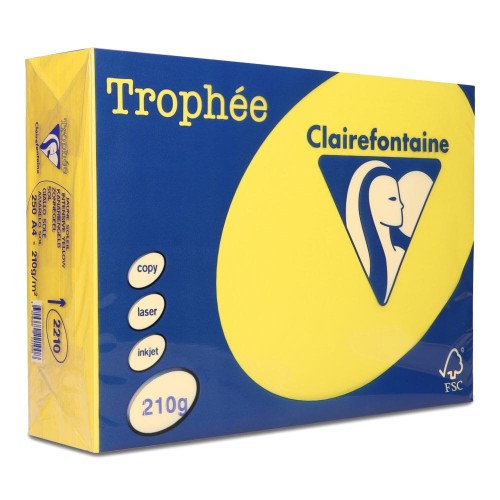 Papier ksero Trophee A4 210g 2210 słoneczny 250 ark.