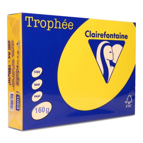 Papier ksero Trophee A4 160g 1053 słonecznikowy