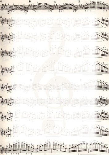 Dyplomy 170g Nuty 25 ark. 213317 Galeria Papieru