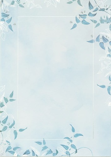 Dyplomy 190g Vera 20 ark. 211119 Galeria Papieru