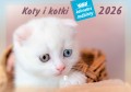 koty-i-kotki-okladka.jpg