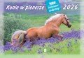 konie-w-plenerze-okladka.jpg