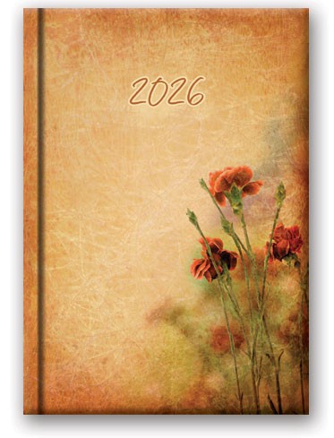 KALENDARZ KSIĄŻKOWY B6 DNS 41DS-02-SOFT GOŹDZIKI LUCRUM