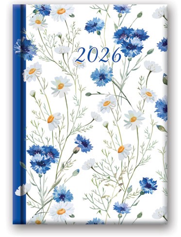 KALENDARZ KSIĄŻKOWY B6 DNS 41DS-03-SOFT BŁAWATKI LUCRUM