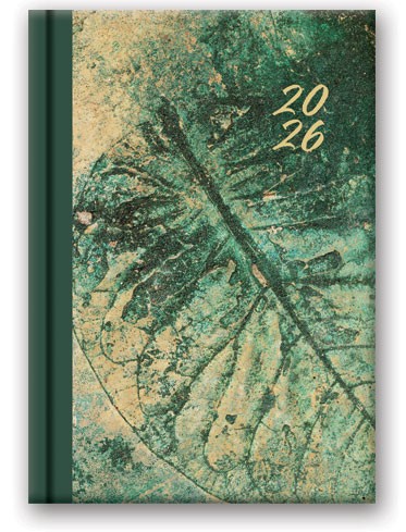 KALENDARZ KSIĄŻKOWY B6 DNS 41DS-04-SOFT LIŚĆ  LUCRUM