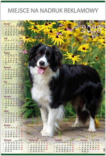 KALENDARZ PLAKATOWY B1 P19 TELEGRAPH