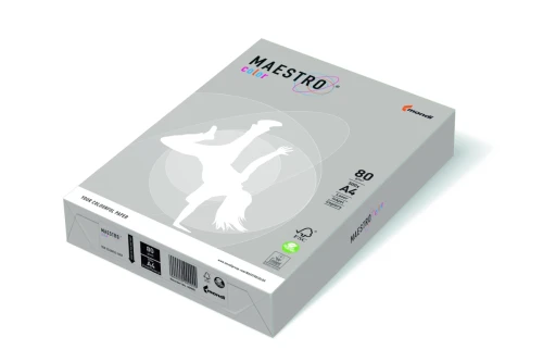 MAESTRO COLOR A4 80 Grey GR21.jpg