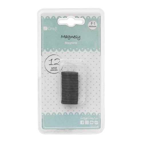Magnesy fi20 x 3mm, 12 szt. DPMG-010 dpCraft