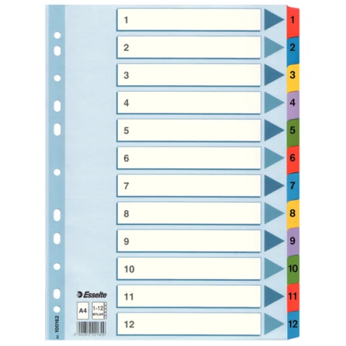 Przekładki A4 kartonowe Mylar 1-12 100162 Esselte