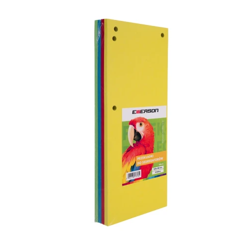 przekladki-kartonowe-13-a4,-mix-kolorow-100-sztuk,-karton-=-20-sztuk.jpg