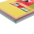 przekladki-kartonowe-13-a4,-mix-kolorow-100-sztuk,-karton-=-20-sztuk (2).jpg
