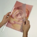 2900_19_APP_A.JPG