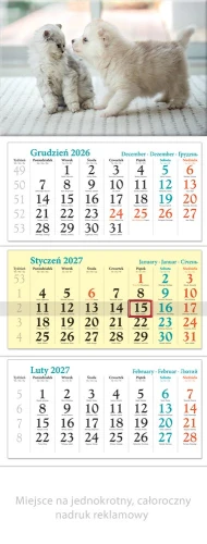 KALENDARZ TRÓJDZIELNY KT14 PUPILE LUCRUM