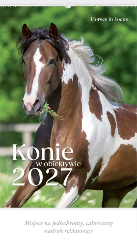 KALENDARZ 13-PLANSZOWY RW14 KONIE W OBIEKTYWIE LUCRUM