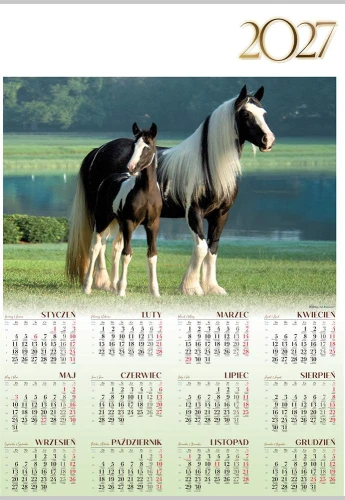 PL12_Konie_2027.jpg