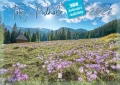 tatry-i-podhale-okladka.jpg